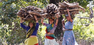 Indian_village_ladies_carry