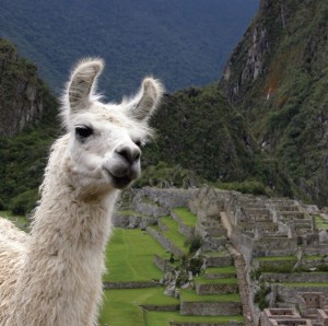 Friendly faces: Peru is taking steps to improve its business climate and overcome its strict and bureaucratic image.