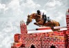 A tight rein: In-house counsel predictions for Year of the Horse