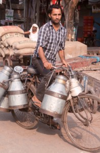 Milk_delivery_on_bicycle