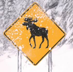 Frosty reception: Immigration problems have been a roadblock for some Indian investors.