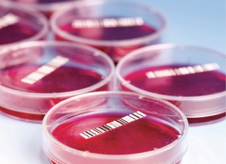 Petri_dishes_with_blood_samples