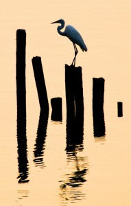 offshore2