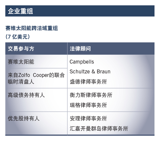 赛维太阳能跨法域重组