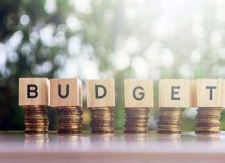 budget india