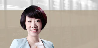 Li Jing DOCVIT Law Firm non-performing assets
