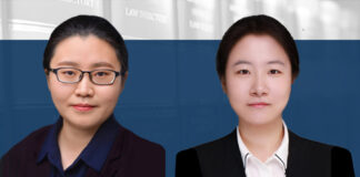 Choosing between provisional injunction and partial judgment, 如何选择临时禁令与先行判决的救济模式, Wang Yaxi and Wu Yue