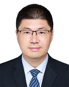 陈卫, David Chen, Managing partner, DOCVIT Law Firm