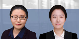 Should DNS providers halt services upon infringement complaints_, 接到侵权投诉后，域名解析服务该不该停？, Wang Yaxi and Wu Yue, Yuanhe Partners