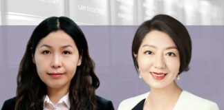 Compliance and crisis in couple-owned companies, 夫妻档企业的治理合规与婚姻危机管理, Chen Fengxia and Cao Yan, DOCVIT Law Firm