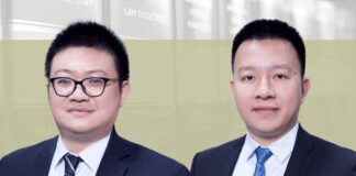 Avoiding pitfalls in appointment versus employment, 董监高聘任关系与劳动关系处理, Wen Junqi and Wu Xing, DOCVIT Law Firm