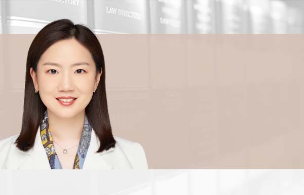 Early resolution mechanism for drug patent disputes in China, 中国药品专利纠纷早期解决机制概览, Chen Gu, Jingtian & Gongcheng