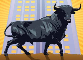 牛市可期、IPO重启