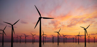 wind farm renewable