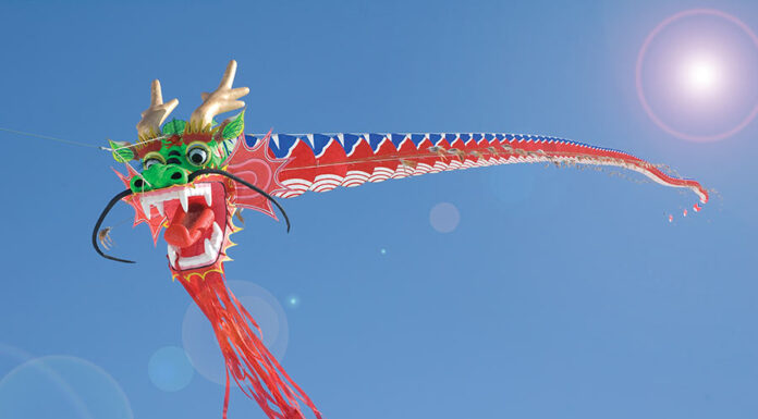 闻风而动-TESTING-THE-WIND