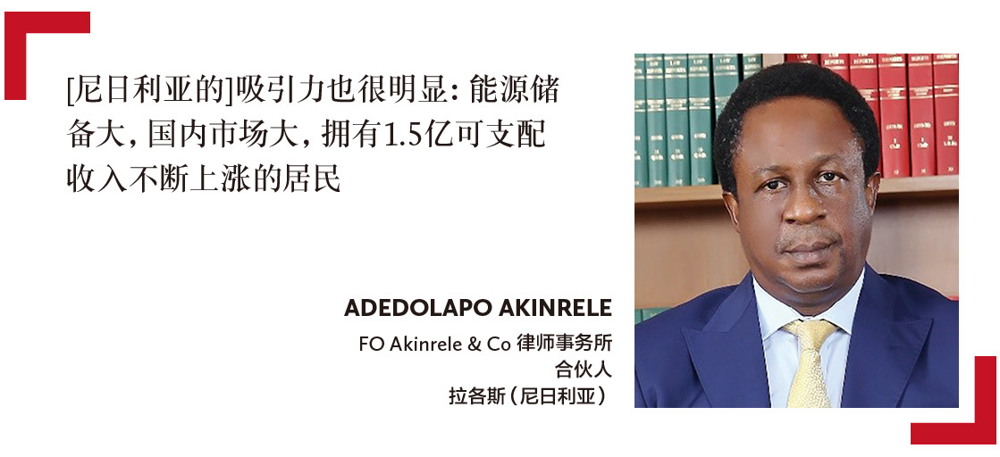 Adedolapo-Akinrele-FO-Akinrele-&-Co-律师事务所-合伙人-拉各斯（尼日利亚）-Partner-FO-Akinrele-&-Co-Lagos