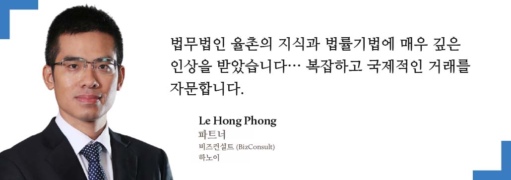 Le Hong Phong, 비즈컨설트 BizConsult