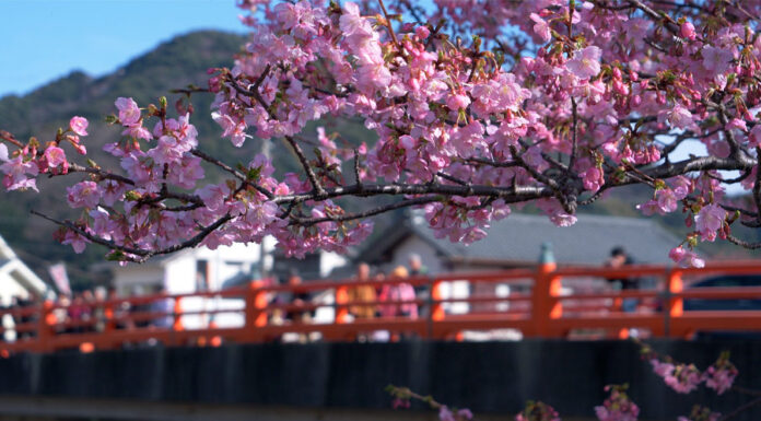 Japan outbound investment guide 2022