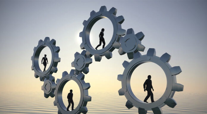 The professionalisation of arbitral case managers