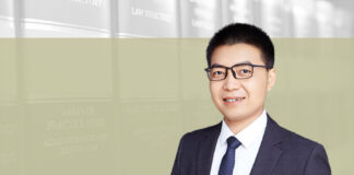 Joining finances of one-person company and its shareholder, Xiong Gang