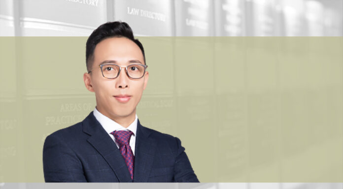 Notes for debtors filing for bankruptcy protection, Wang Zhenxiang