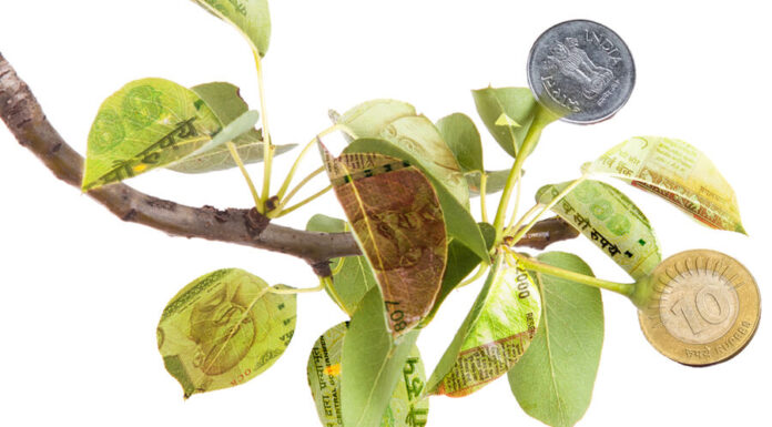 Sovereign green bond framework