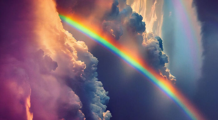 Rainbow judgment on IBC