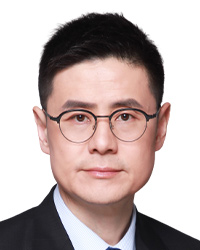 Wang Feng, DOCVIT Law Firm 