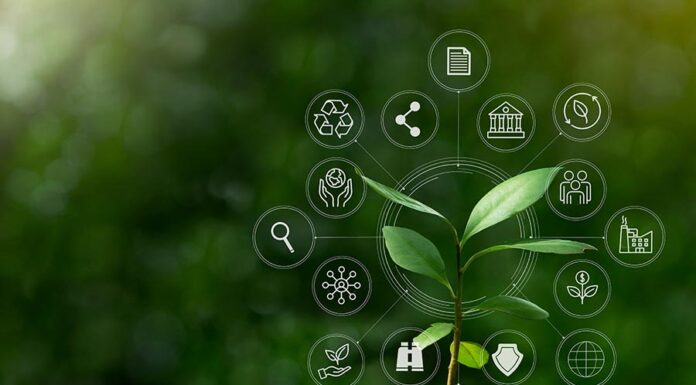 Grey Matter Green Impact Group initiative