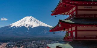 AllBright expands into Japan