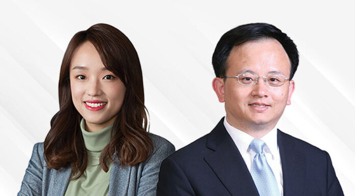 Challenges and solutions for Chinese patent applications