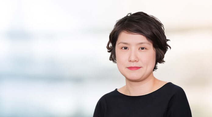 SFC appoints first executive director for legal services division SFC appoints Lisa Chen