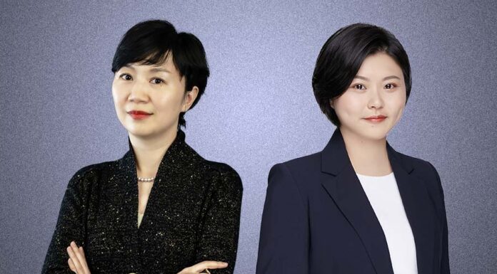 How-Chinese-companies-survive-and-defeat-global-sanctions-L