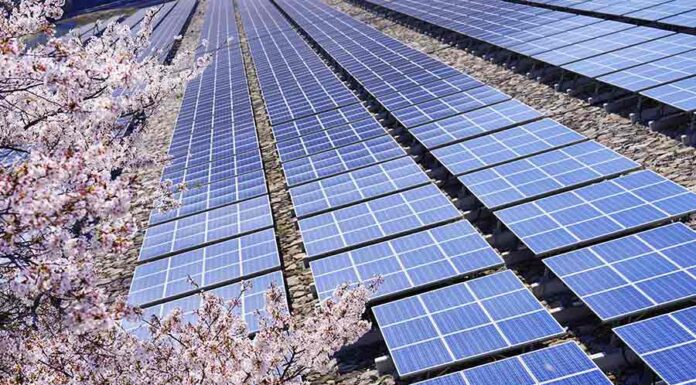 Linklaters assists Actis to set up Japan renewables business Linklaters assists Actis