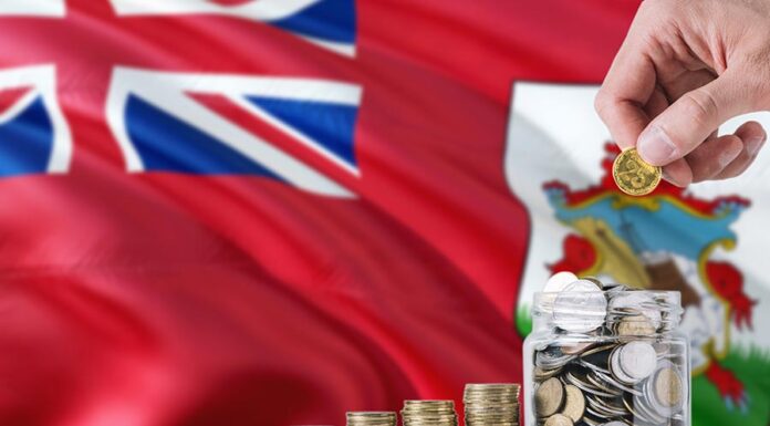 Boundaries of Bermuda trustee’s powers
