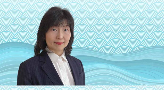 Trends and features of Japan foreign investment