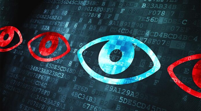 auditors to exercise vigilance