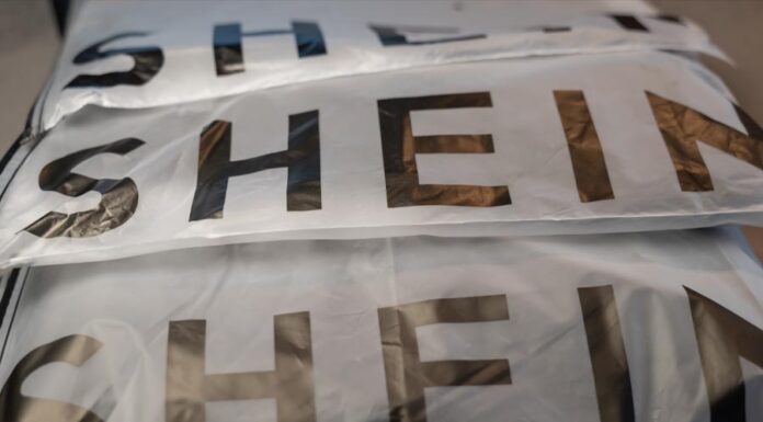 Shein extends offline reach via stake in US fashion group Skadden Shein strategic partnership offline expansion
