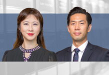 Securities and Futures Ordinance Hong Kong