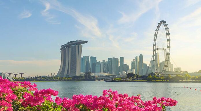 Singapore blooms as hub for dispute resolution