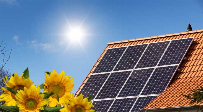 Carbon financial products' future