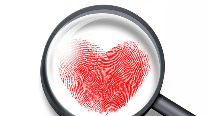 Reasoning at the heart of decision ACIL Limited Insolvency Case