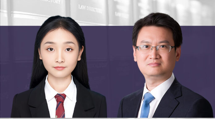 Are husband-and-wife and one-person companies the same? Personal and company property mixing issues