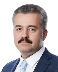 Georgy Daneliya, SEAMLESS Legal