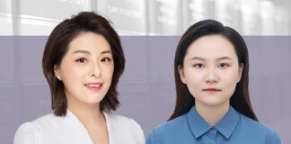 Impact of the New Company Law