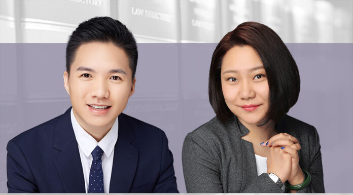 Director primacy under the new Company Law
