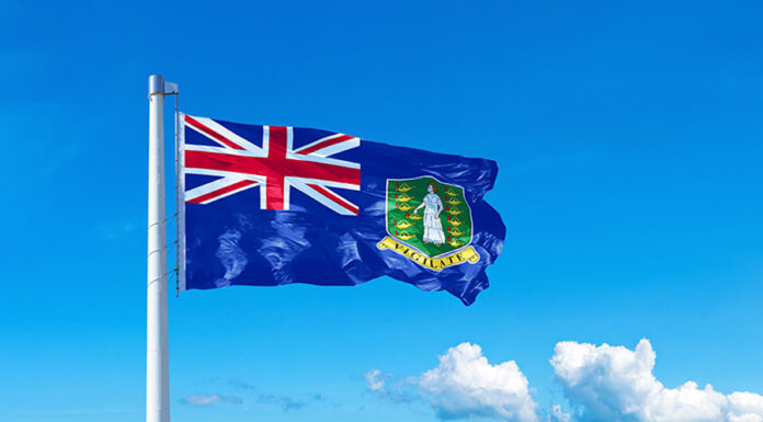 Re-domiciliation in the British Virgin Islands 영국령 버진아일랜드로의 법인소재지 교체