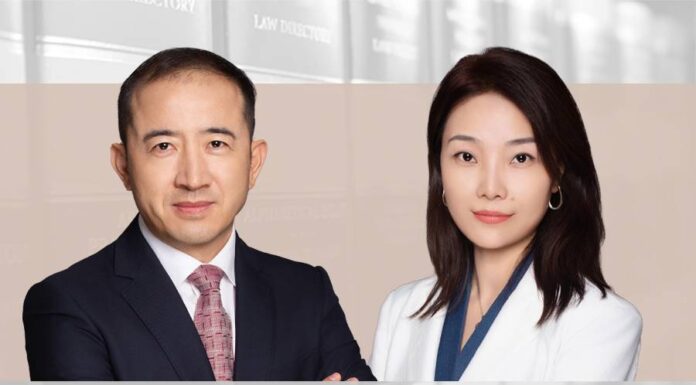 DSO diligence and disclosure in listed companies