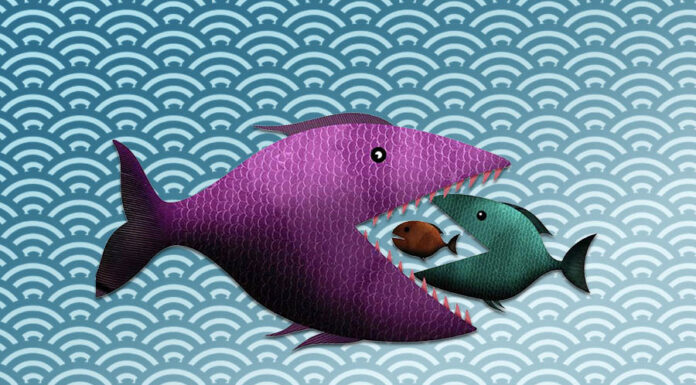 Appetite for M&A asia-mergers-and-acquisitions