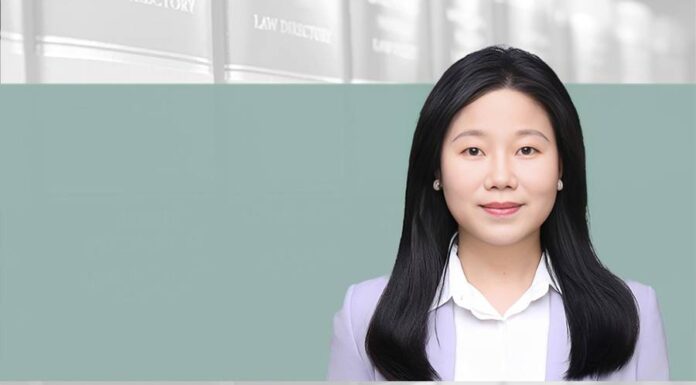 Designing joint venture equity structures in Indonesia Joint Venture Equity in Indonesia